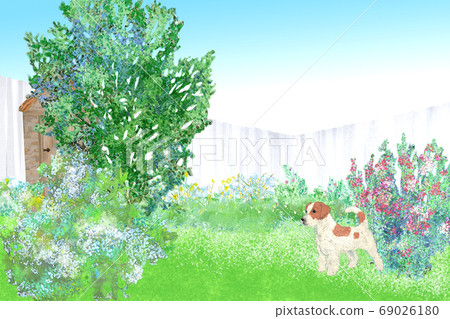 Hand drawn landscape illustration dog playing flowers in early summer garden 69026180