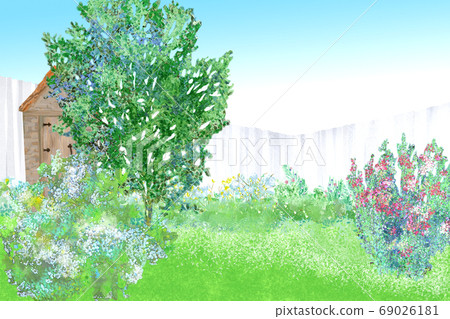 Hand drawn landscape illustration Early summer flowering garden 69026181