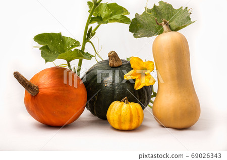 四種南瓜和南瓜花 69026343