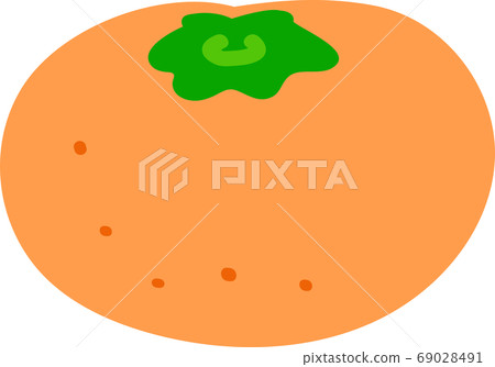 Mandarin orange illustration material Mandarin orange illustration material 69028491