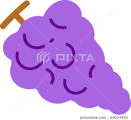 Grape illustration material 69028493