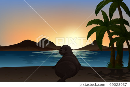 Seal in nature background silhouette Seal in nature background silhouette 69028987