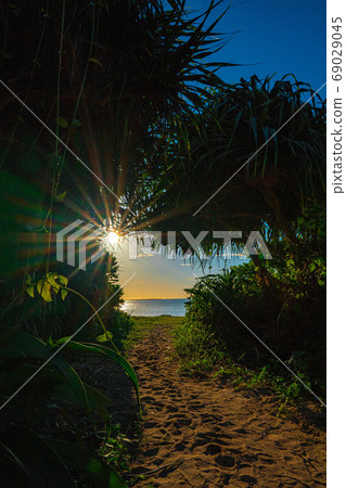 夏天 夏 海 69029045