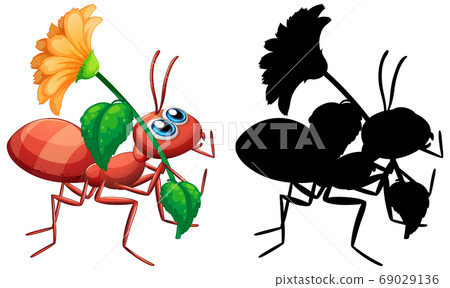 Ant holding flower set Ant holding flower set 69029136