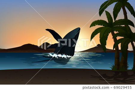 Outdoor nature silhouette sunset scene 69029455