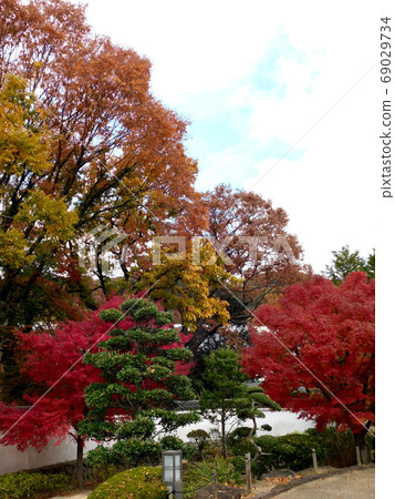 Autumn leaves at Daikoji Temple 69029734