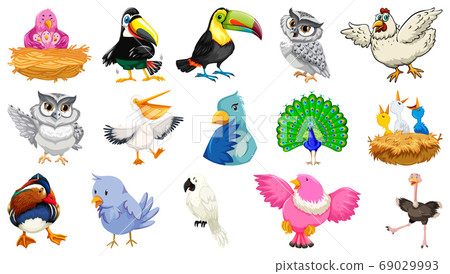 Set of different birds cartoon style isolated on Set of different birds cartoon style isolated on 69029993