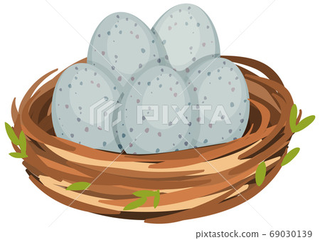 Eggs in the bird nest isolated 69030139