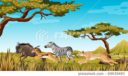Wild animal running in nature 69030465