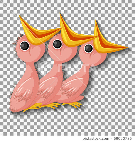 Hungry chick cartoon isolated 69030786