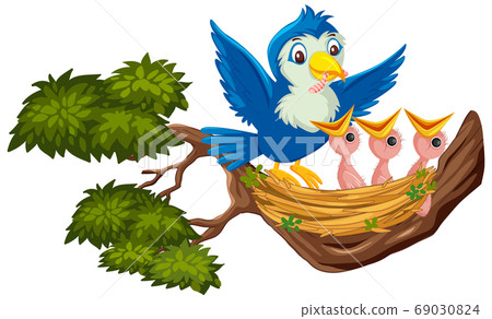 Mother bird feeding chicks 69030824