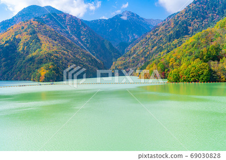 Takase Gorge, Omachi Dam Autumn Leaves [Nagano Prefecture] 69030828