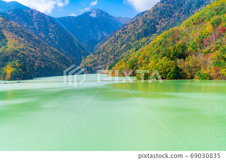 Takase Gorge, Omachi Dam Autumn Leaves [Nagano Prefecture] 69030835