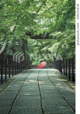 Komyoji Temple in early summer 69030836