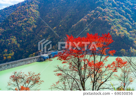 Takase Gorge, Omachi Dam Autumn Leaves [Nagano Prefecture] 69030856
