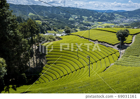 Wakki鎮的茶園 Wakki鎮的茶園 69031161