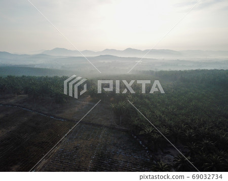 Vegetable farm and oil palm Vegetable farm and oil palm 69032734