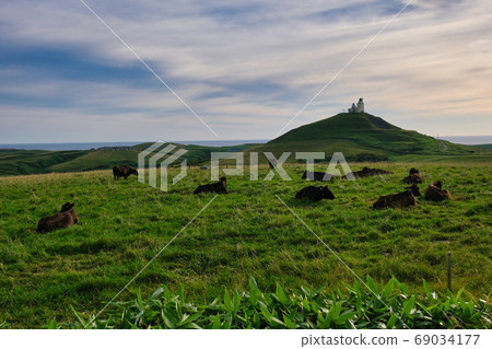 稚內牛 69034177