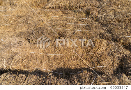 haystack or natural dry hay straw in grain field in farm. Patter haystack or natural dry hay straw in grain field in farm. Patter 69035347