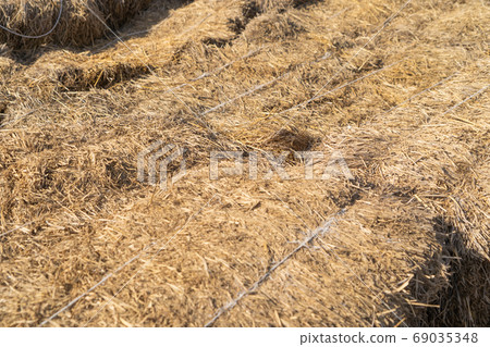 haystack or natural dry hay straw in grain field in farm. Patter 69035348