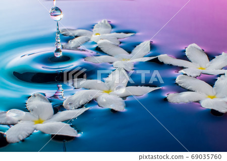 Jasmine texture floating in water Jasmine texture floating in water 69035760