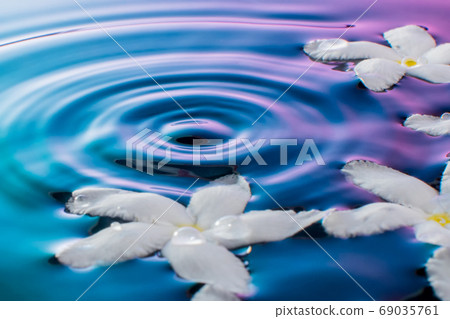 Jasmine texture floating in water 69035761