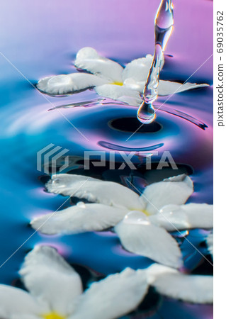 茉莉花質地漂浮在水中 茉莉花質地漂浮在水中 69035762
