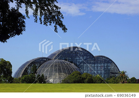 夢幻島熱帶植物園(夏季) 夢幻島熱帶植物園(夏季) 69036149