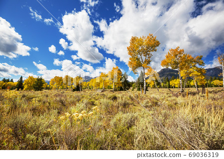 Autumn meadow 69036319