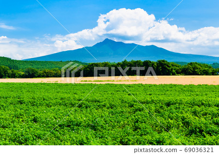 北海道斜里鎮的鄉村風光(斜里山和馬鈴薯田) 北海道斜里鎮的鄉村風光(斜里山和馬鈴薯田) 69036321