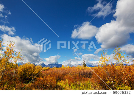 Autumn meadow Autumn meadow 69036322