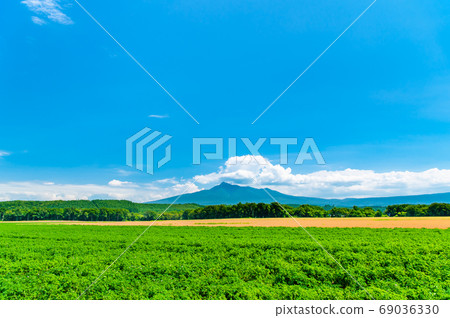 Rural scenery of Shari Town, Hokkaido (Mt. Shari and potato fields) Rural scenery of Shari Town, Hokkaido (Mt. Shari and potato fields) 69036330