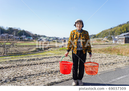 Elderly woman doing laundry Elderly woman doing laundry 69037309