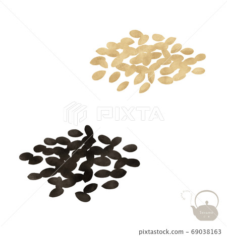 Hand drawn illustration of black sesame white sesame 69038163