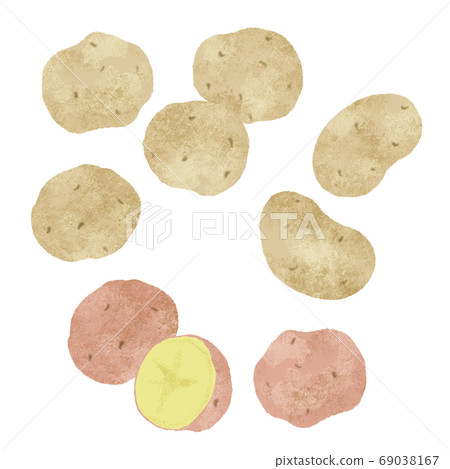 手繪插圖的各種土豆 手繪插圖的各種土豆 69038167