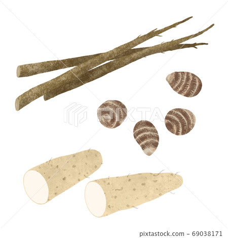Hand-drawn illustration of root vegetables 69038171