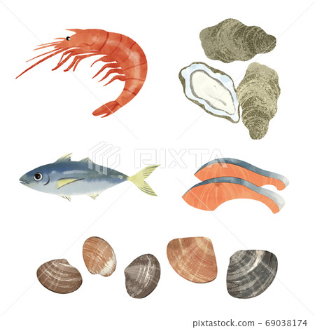 Seafood hand drawn illustration 69038174