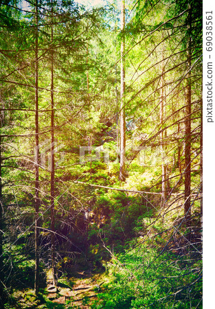 Fairy Tale Forest in Retro Style. Paper Vintage Textured. Mountain Landscape Fairy Tale Forest in Retro Style. Paper Vintage Textured. Mountain Landscape 69038561