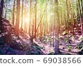 Fairy Tale Forest in Retro Style. Paper Vintage Textured. Mountain Landscape 69038566