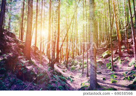 Fairy Tale Forest in Retro Style. Paper Vintage Textured. Mountain Landscape 69038566