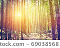 Fairy Tale Forest in Retro Style. Paper Vintage Textured. Mountain Landscape 69038568