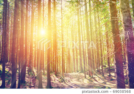 Fairy Tale Forest in Retro Style. Paper Vintage Textured. Mountain Landscape Fairy Tale Forest in Retro Style. Paper Vintage Textured. Mountain Landscape 69038568