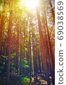 Fairy Tale Forest in Retro Style. Paper Vintage Textured. Mountain Landscape 69038569