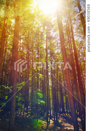 Fairy Tale Forest in Retro Style. Paper Vintage Textured. Mountain Landscape 69038569