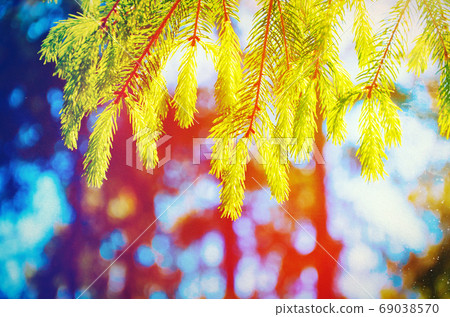 natural background on grunge vintage paper texture natural background on grunge vintage paper texture 69038570
