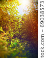 Fairy Tale Forest in Retro Style. Paper Vintage Textured. Mountain Landscape 69038573