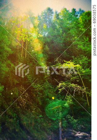 Fairy Tale Forest in Retro Style. Paper Vintage Textured. Mountain Landscape Fairy Tale Forest in Retro Style. Paper Vintage Textured. Mountain Landscape 69038575