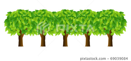 樹木 69039084