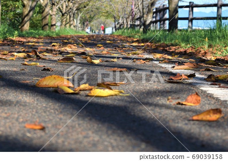 吹著秋風 吹著秋風 69039158