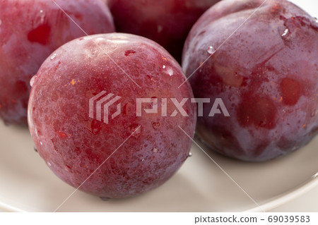 梅子相模 69039583